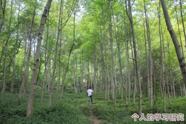 逍遥仙境娱乐社区在这里我们共同分享快乐与梦想让每一个人都能找到属于自己的幸福时刻一起创造美好回忆