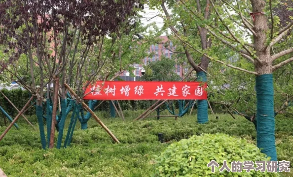 庄园领主植树指南：掌握高效种植技巧，打造绿意盎然的领地风光